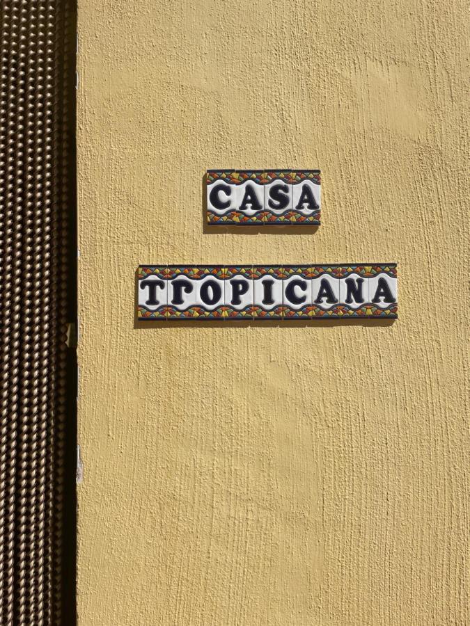 Air Conditioned "Casa Tropicana" Entire Villa Or Individual Apartments Murcia Dış mekan fotoğraf